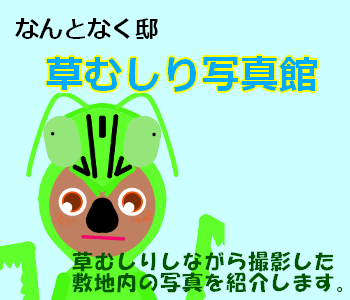 草むしり写真館